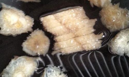How Long Does It Take to Cook Fresh Sea Cucumbers?A Comprehensive Guide