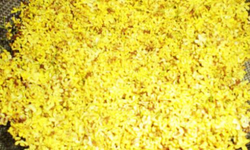 Drying and Preserving Fresh Osmanthus Flowers:A Comprehensive Guide