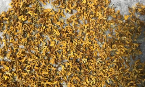 Drying Fresh Osmanthus Flowers:A Comprehensive Guide