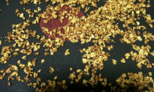 Drying Fresh Osmanthus Flowers:A Comprehensive Guide