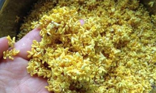 Drying Fresh Osmanthus Flowers:A Comprehensive Guide
