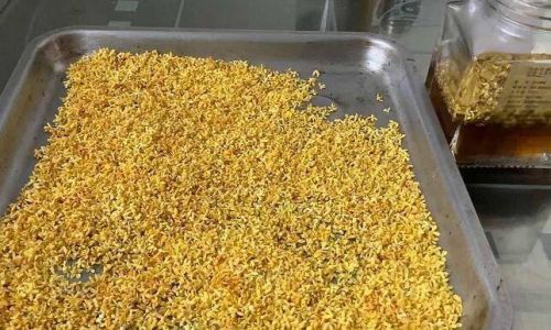 Comprehensive Guide to Making Fresh Osmanthus Honey