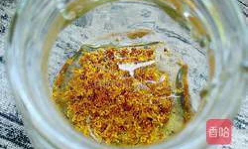 Comprehensive Guide to Making Fresh Osmanthus Honey