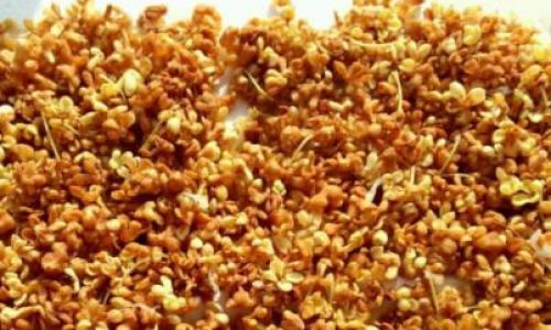 How to Make Dried Osmanthus Flowers from Fresh Ones