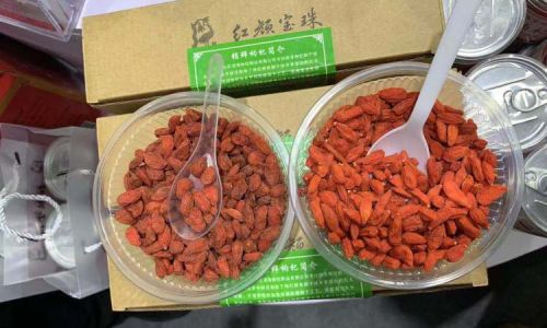 Can Fresh Goji Berries Be Consumed?An In-Depth Exploration