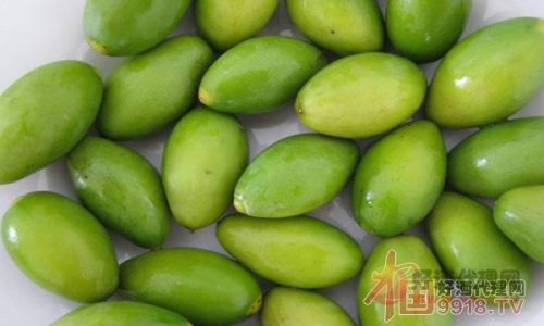 How to Marinate Fresh Olives for a Delightful Taste