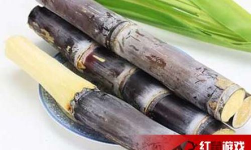 Preserving Fresh Sugarcane Seeds:Effective Methods and Techniques