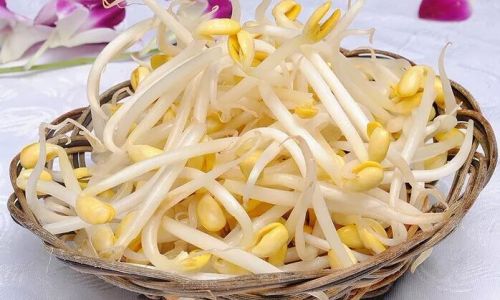 How to Cook Fresh Sprouts Deliciously and Simply
