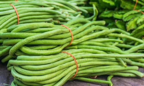 Preserving Fresh Green Beans for Optimal Taste and Freshness