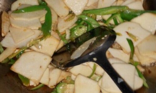 Delightful Ways to Cook with Fresh Tofu Dregs
