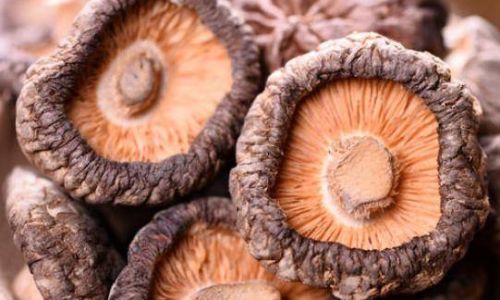 Preserving Fresh Shiitake Mushrooms:Effective Methods and Tips