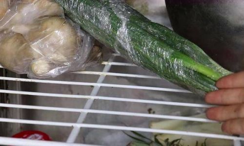 Preserving the Freshness of Coral Trout:A Comprehensive Guide