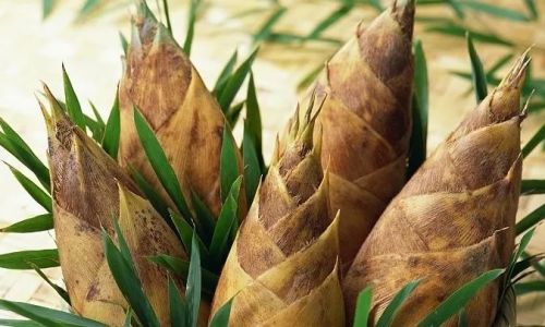 Preserving the Freshness of Bamboo Shoots for Extended Periods