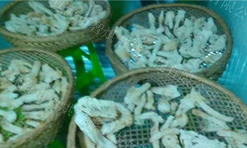 Preserving Fresh Bamboo Fungus Dictyophora indusiata)A Comprehensive Guide
