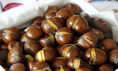 Preserving Fresh Hazelnut Kernels:A Comprehensive Guide