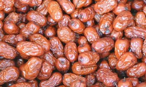 Drying Fresh Jujubes:A Comprehensive Guide