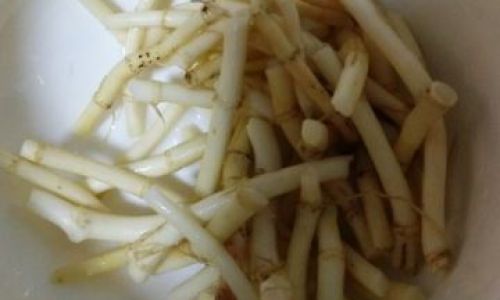 How to Prepare Fresh Fishwort Root Infusion:A Step-by-Step Guide