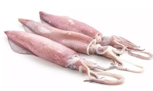 Preserving the Freshness of Fresh Squid:Effective Techniques and Tips