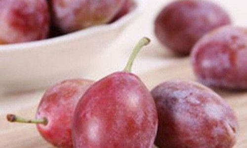 Preserving the Freshness of Pluots:Effective Storage Tips