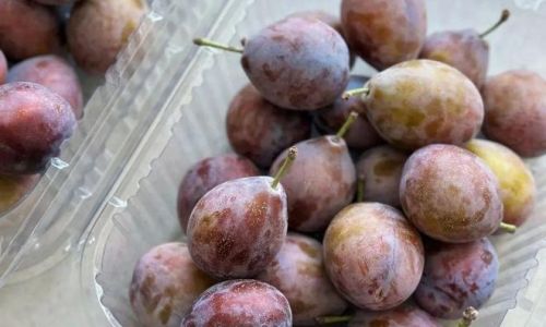 Preserving the Freshness of Pluots:Effective Storage Tips
