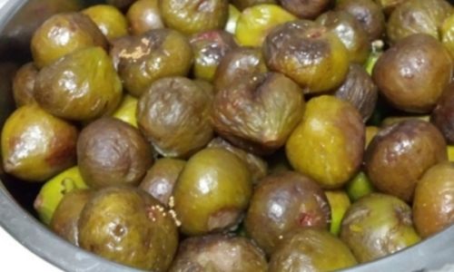 Drying Fresh Figs:A Comprehensive Guide