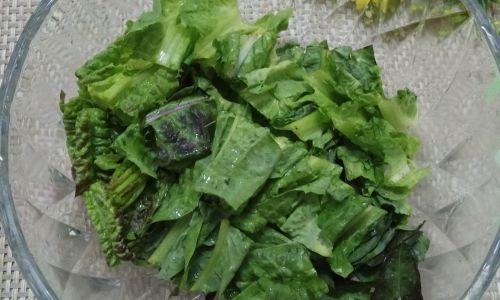 How to Make a Delicious Fresh Lettuce Salad