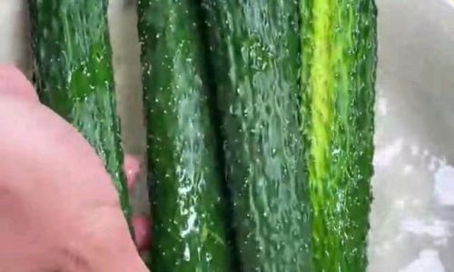 How Long Can Fresh Vegetables Be Stored Before They Become Unsafe to Eat?