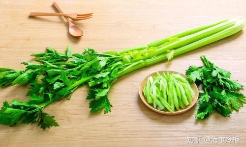 Preserving Fresh Greens:Effective Tips for Longer Shelf Life