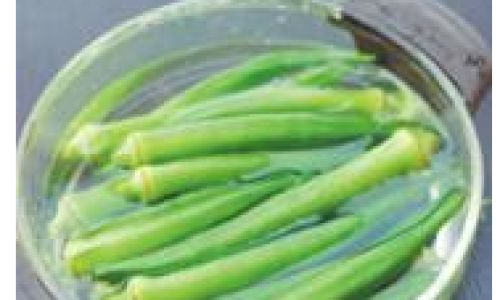 Culinary Delights:How to Cook Fresh Okra for a Tantalizing Taste