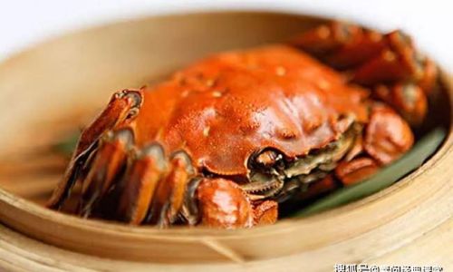 Savoring the Best:How to Enjoy Fresh Crab Deliciously