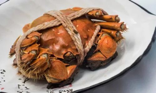 Savoring the Best:How to Enjoy Fresh Crab Deliciously