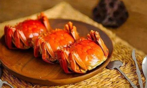 Savoring the Best:How to Enjoy Fresh Crab Deliciously
