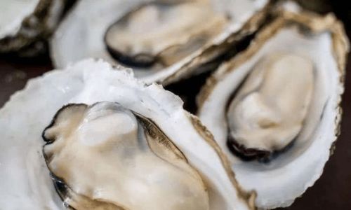 How to Select Fresh Oysters:A Comprehensive Guide