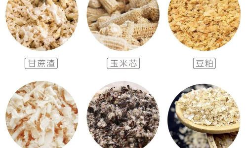 Preserving the Freshness of Mushrooms:Effective Techniques and Tips