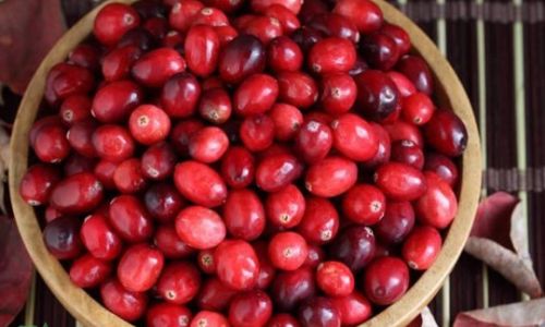 How to Select Fresh Cranberries:A Comprehensive Guide