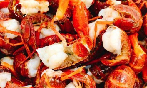 Preserving Fresh Lobster:Tips and Techniques for Optimal Freshness