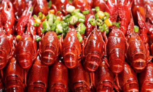 Preserving Fresh Lobster:Tips and Techniques for Optimal Freshness
