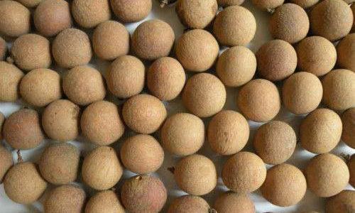 Preserving Fresh Longan:Effective Methods and Tips