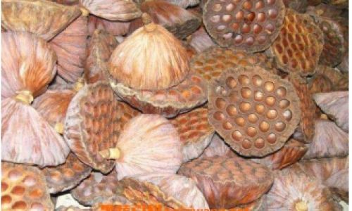 Drying Fresh Lotus Seeds:A Comprehensive Guide