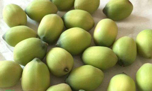 Drying Fresh Lotus Seeds:A Comprehensive Guide
