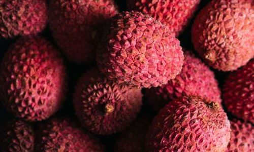 Preserving the Sweetness:How to Store Fresh Lychees