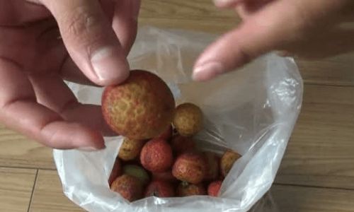 Preserving the Sweetness:How to Store Fresh Lychees