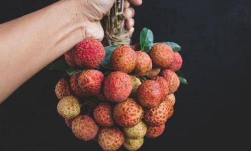 Preserving the Sweetness:How to Store Fresh Lychees