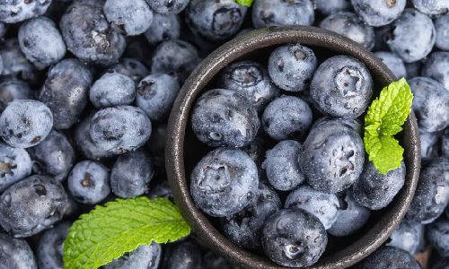 How to Preserve Fresh Blueberries:A Comprehensive Guide