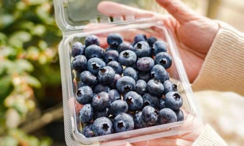 How to Preserve Fresh Blueberries:A Comprehensive Guide