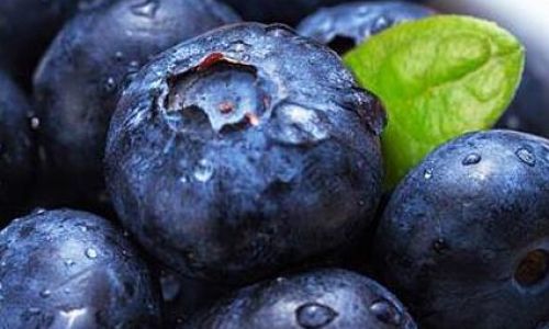 How to Preserve Fresh Blueberries:A Comprehensive Guide