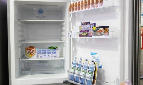 The Optimal Storage Solution for Fresh Blueberries:Refrigeration in the Fridge