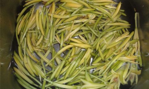 How to Cook Fresh Bracken Fern for a Delightful Meal