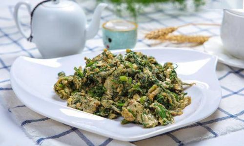 Discovering the Culinary Delights of Fresh Fennel:How to Enjoy It to the Fullest