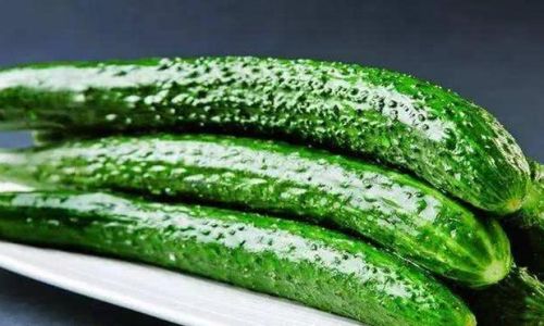 Preserving the Freshness of Cucumbers:Tips and Techniques